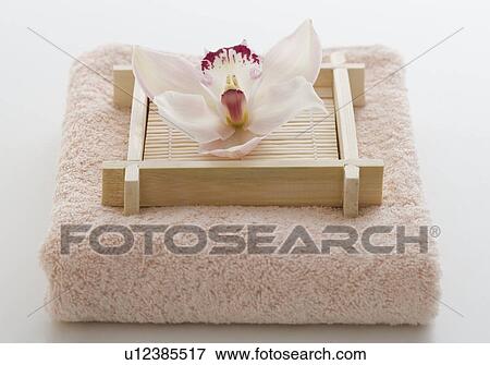 Still life of orchid on terry cloth View Large Photo Image Stock Photo - Still life of orchid on terry cloth. Fotosearch