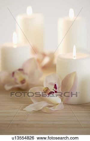 Still life of orchids and candles View Large Photo Image Stock Photograph - Still life of orchids and candles. Fotosearch