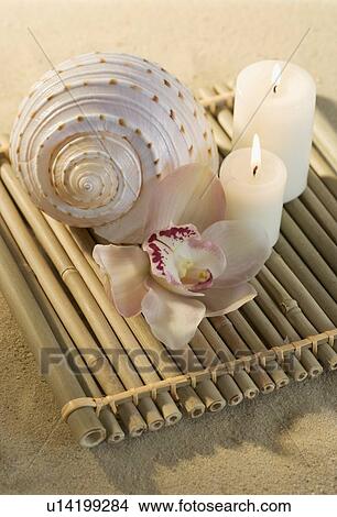 Picture - Still life of orchids, candles and seashell. Fotosearch
