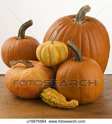 Picture - Still life of pumpkins and a gourd. Fotosearch