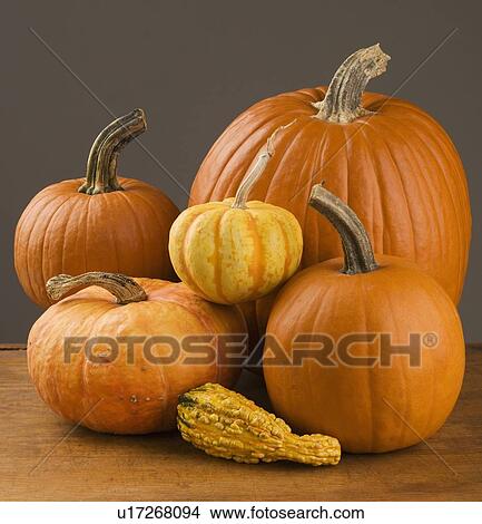 Picture - Still life of pumpkins and a gourd. Fotosearch