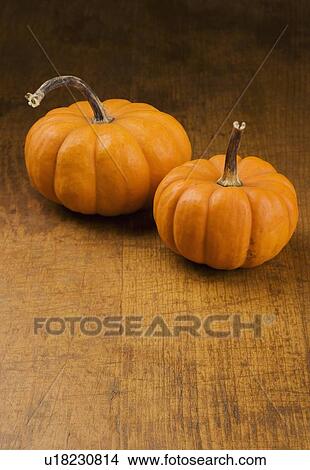 Still life of two pumpkins View Large Photo Image Picture - Still life of two pumpkins. Fotosearch