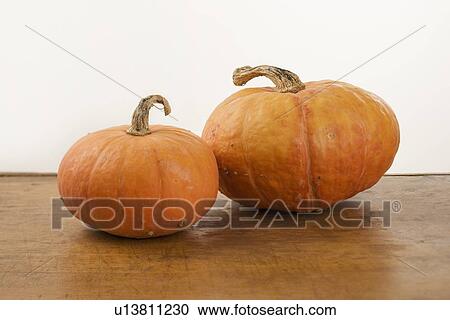 Still life of two pumpkins View Large Photo Image Stock Image - Still life of two pumpkins. Fotosearch