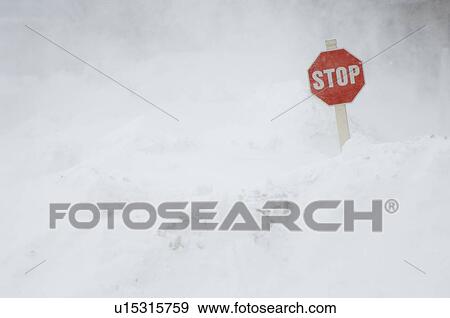 Stop sign in snow bank View Large Photo Image Stock Photo - Stop sign in snow bank. Fotosearch