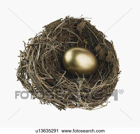 Studio shot of nest with golden egg View Large Photo Image Stock Image - Studio shot of nest with golden egg. Fotosearch