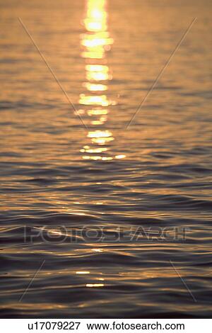 Sunlight reflected on water View Large Photo Image Stock Photo - Sunlight reflected on water. Fotosearch