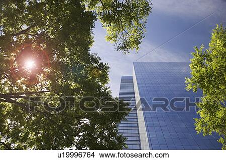 Picture - Sunshine through trees in the city. Fotosearch