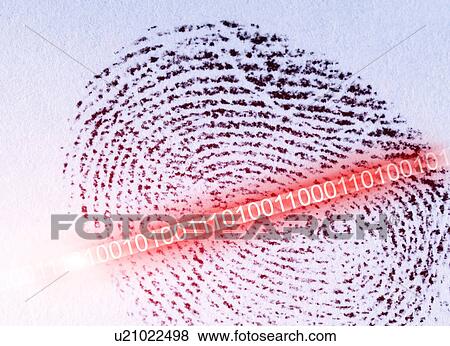 Stock Photo - Thumb print with security code. Fotosearch