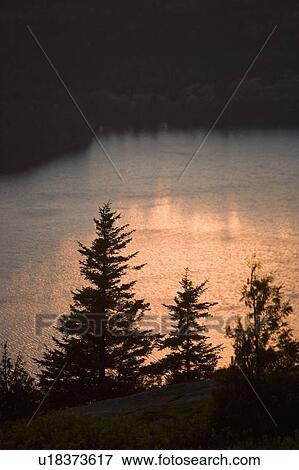 Tree and water at sunset Cadillac Mountain Maine View Large Photo Image Stock Photo - Tree and water at sunset Cadillac Mountain Maine. Fotosearch