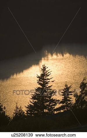 Stock Photo - Trees at sunset from Cadillac Mountain in Maine. Fotosearch