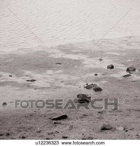 Stock Image - Water and shoreline. Fotosearch