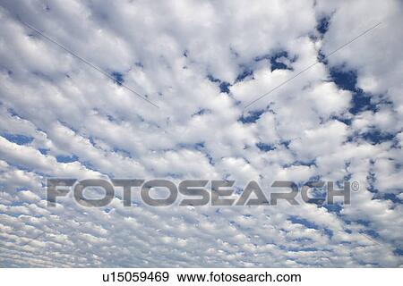 White clouds covering blue sky View Large Photo Image Stock Photo - White clouds covering blue sky. Fotosearch