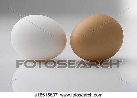 White egg and brown egg View Large Photo Image Stock Photo - White egg and brown egg. Fotosearch
