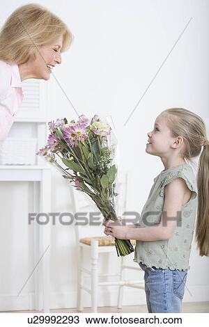 Young granddaughter giving grandmother bouquet of flowers View Large Photo Image Stock Image - Young granddaughter giving grandmother bouquet of flowers. Fotosearch