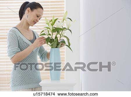Asian woman arranging flowers View Large Photo Image Picture - Asian woman arranging flowers. Fotosearch