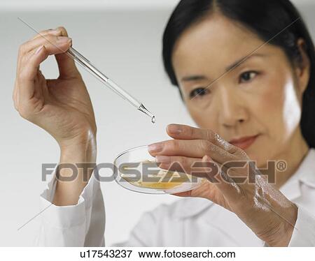 Asian woman dropping liquid into petri dish View Large Photo Image Stock Photo - Asian woman dropping liquid into petri dish. Fotosearch