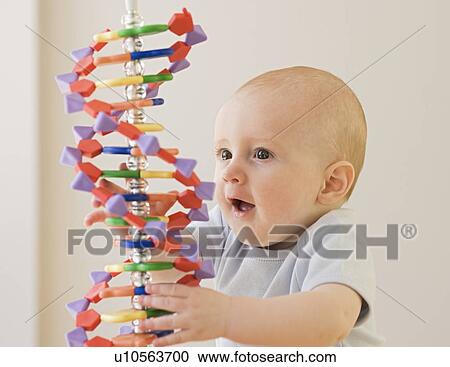 Stock Image - Baby playing with DNA model. Fotosearch