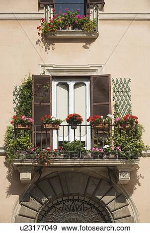 Balcony with flowers, Piazza Navona View Large Photo Image Stock Photo - Balcony with flowers, Piazza Navona. Fotosearch