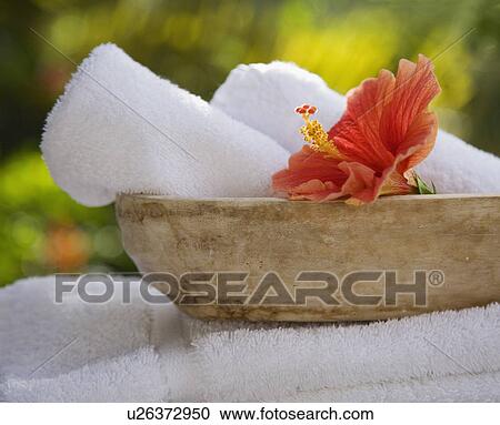 Bowl with rolled towels and flower View Large Photo Image Stock Image - Bowl with rolled towels and flower. Fotosearch