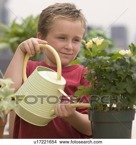 Boy watering potted plants View Large Photo Image Picture - Boy watering potted plants. Fotosearch