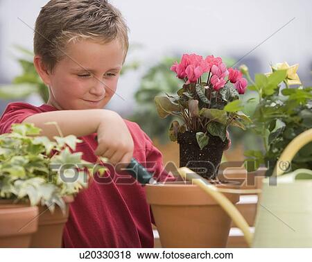 Boy watering potted plants View Large Photo Image Stock Photo - Boy watering potted plants. Fotosearch