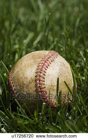 Stock Image - Close up of baseball in grass. Fotosearch