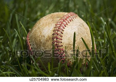 Stock Image - Close up of baseball in grass. Fotosearch