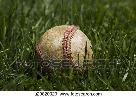 Close up of baseball in grass View Large Photo Image Stock Photo - Close up of baseball in grass. Fotosearch