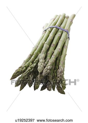 Stock Photo - Close up of bunch of asparagus. Fotosearch