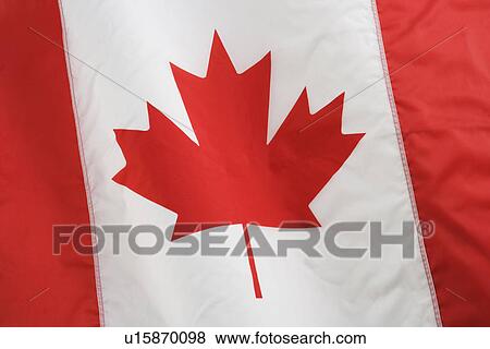 Close up of Canadian flag View Large Photo Image Stock Photo - Close up of Canadian flag. Fotosearch
