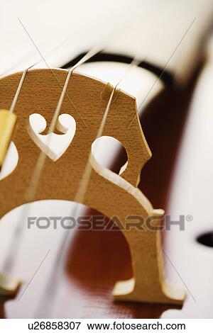 Close up of cello bridge View Large Photo Image Stock Photo - Close up of cello bridge. Fotosearch
