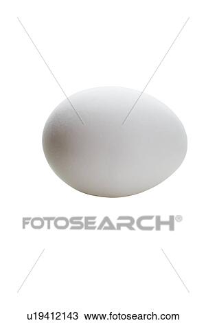 Close up of chicken egg View Large Photo Image Stock Image - Close up of chicken egg. Fotosearch