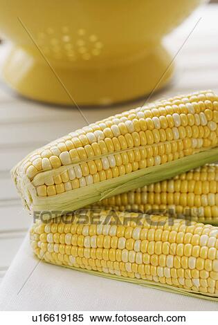 Close up of corn on the cob View Large Photo Image Stock Photography - Close up of corn on the cob. Fotosearch