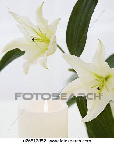 Close up of flowers and candle View Large Photo Image Stock Image - Close up of flowers and candle. Fotosearch