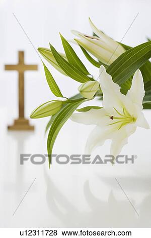 Close up of flowers with cross in background View Large Photo Image Stock Photo - Close up of flowers with cross in background. Fotosearch