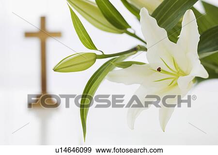 Close up of flowers with cross in background View Large Photo Image Stock Photo - Close up of flowers with cross in background. Fotosearch
