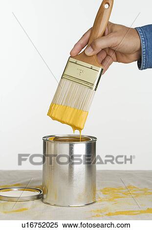 Close up of man dipping paintbrush in paint can View Large Photo Image Stock Photography - Close up of man dipping paintbrush in paint can. Fotosearch