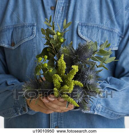 Close up of man holding plants View Large Photo Image Stock Image - Close up of man holding plants. Fotosearch