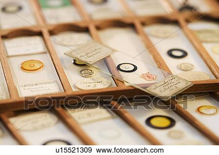 Close up of old fashioned microscope slides View Large Photo Image Stock Photo - Close up of old fashioned microscope slides. Fotosearch