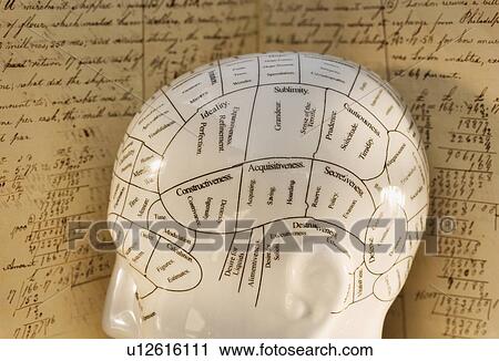 Close up of Phrenology head diagram View Large Photo Image Stock Image - Close up of Phrenology head diagram. Fotosearch