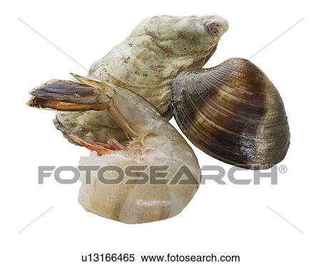 Close up of shrimp, oyster and clam View Large Photo Image Stock Photography - Close up of shrimp, oyster and clam. Fotosearch