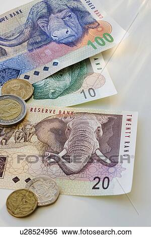Close up of South African currency View Large Photo Image Stock Photograph - Close up of South African currency. Fotosearch