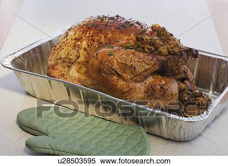 Close up of Thanksgiving turkey in pan View Large Photo Image Stock Photography - Close up of Thanksgiving turkey in pan. Fotosearch