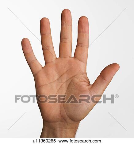 Close up studio shot of palm side of man's hand View Large Photo Image Stock Photography - Close up studio shot of palm side of man's hand. Fotosearch