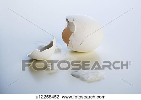 Stock Image - Closeup of a broken chicken egg. Fotosearch