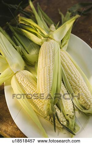 Stock Photo - Corn on the cob on platter. Fotosearch