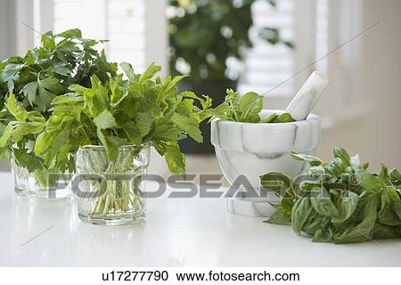 Fresh herbs next to mortar and pestle View Large Photo Image Stock Image - Fresh herbs next to mortar and pestle. Fotosearch