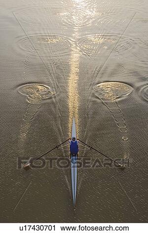 High angle view of person sculling View Large Photo Image Stock Image - High angle view of person sculling. Fotosearch