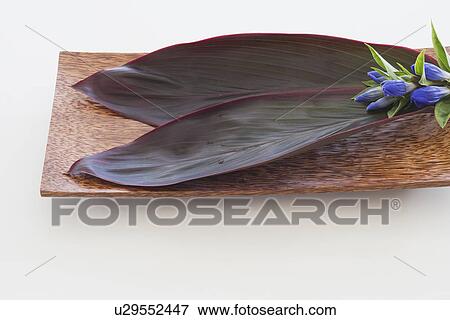 Leaves and flowers on wooden tray View Large Photo Image Stock Photo - Leaves and flowers on wooden tray. Fotosearch