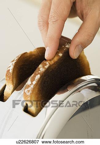 Man taking toast out of toaster View Large Photo Image Stock Photo - Man taking toast out of toaster. Fotosearch